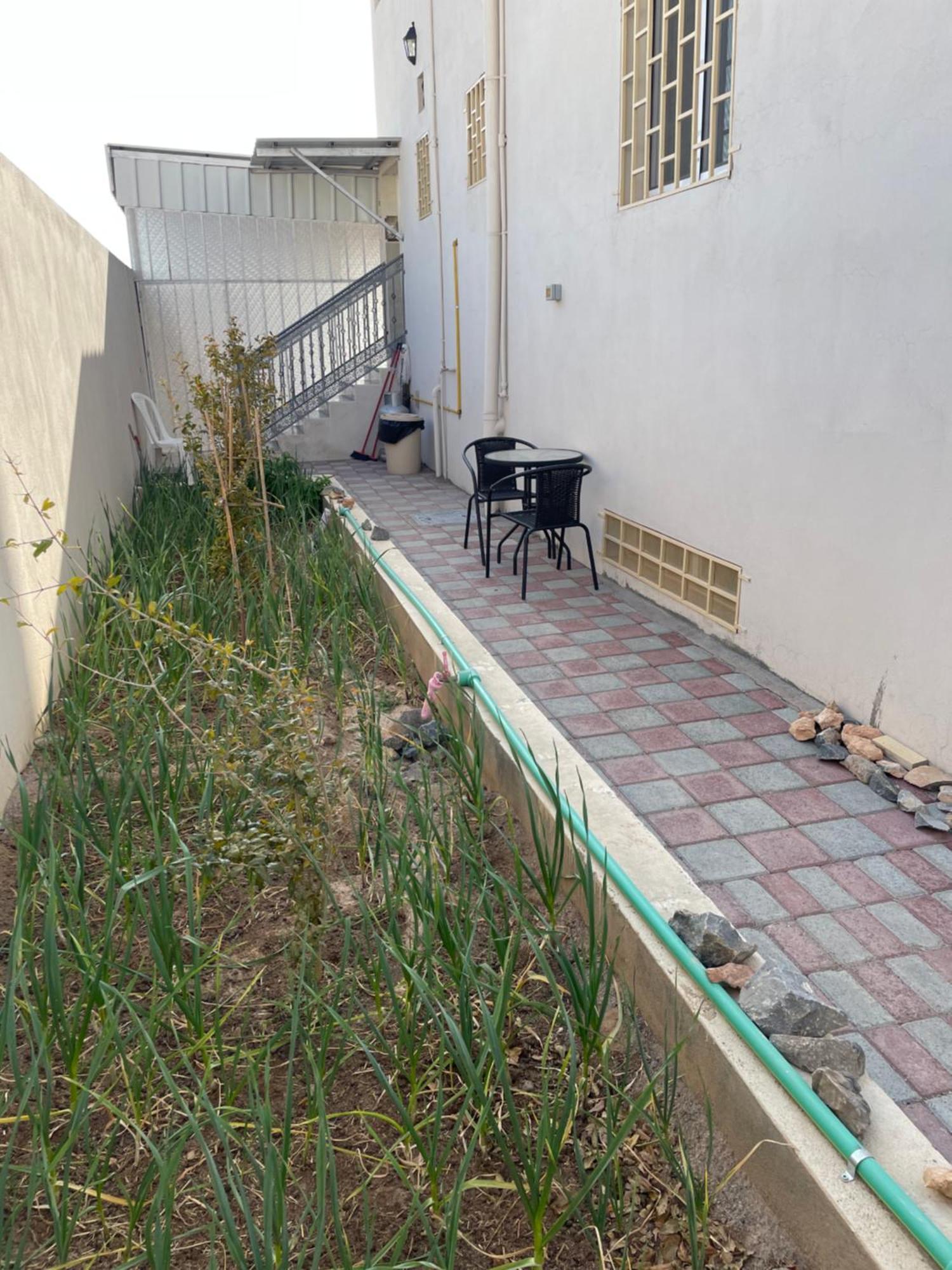Apartment In Bayt Al Jabal شقة في بيت الجبل Sayq Exterior foto